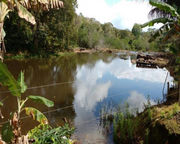 Fazenda sempre alegre a 20km de ilhéus - Foto 5