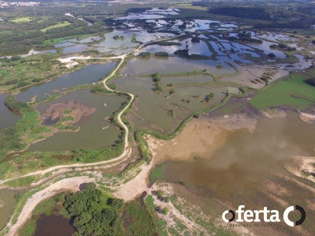 Chácara em Araucária - excelente para pesqueiro!!!! - Foto 5