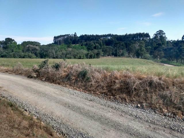 Lindo terreno para chácara - Foto 4
