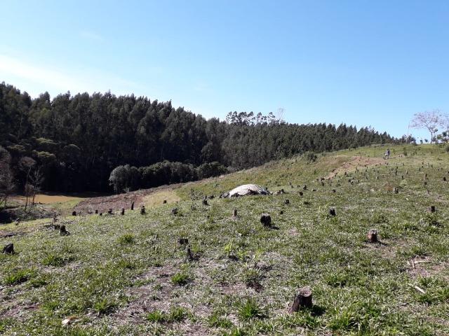 Chácara com 46.792m2 em Bocaiuva do Sul - Estudo Troca em Colombo - Foto 4