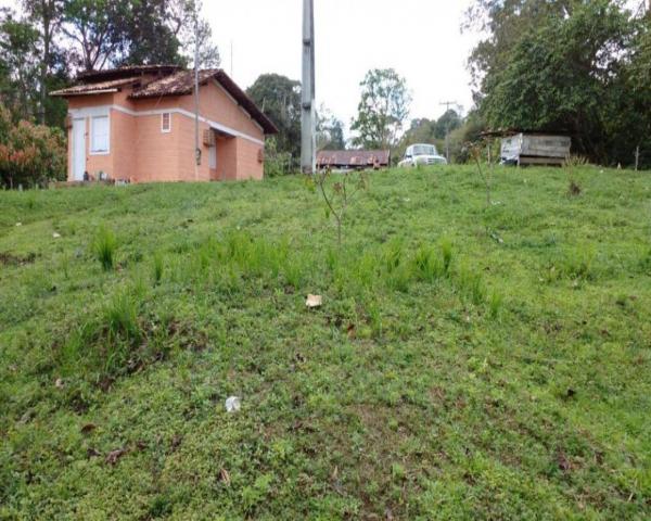 Fazenda sempre alegre a 20km de ilhéus - Foto 10
