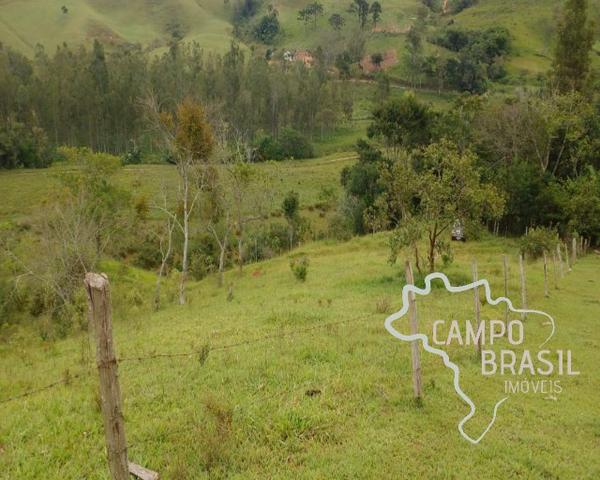 Oportunidade rural! Sítio de 8,5 alqueires todo aproveitável! - Foto 19