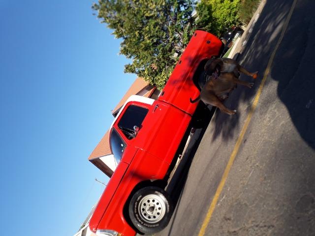 F100 raridade!! - Foto 9