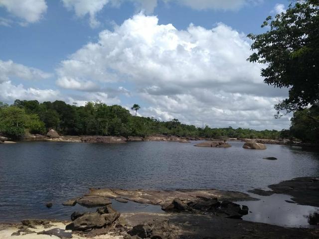Terreno em Tartarugalzinho,perto do ninho do socó - Foto 4