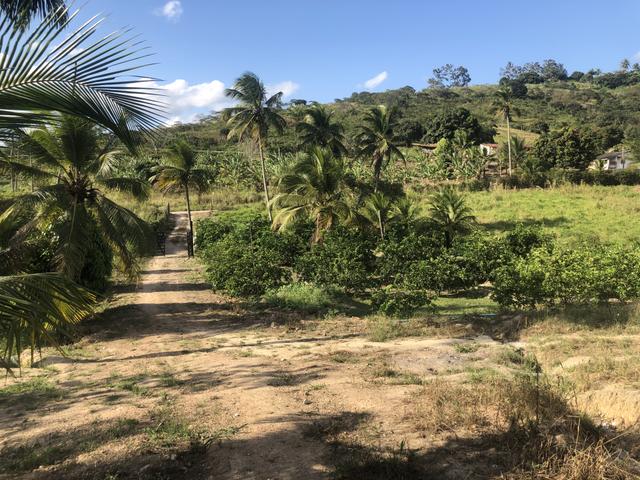 Sítio 600.000,00 Vitória de Santo Antão - Foto 5