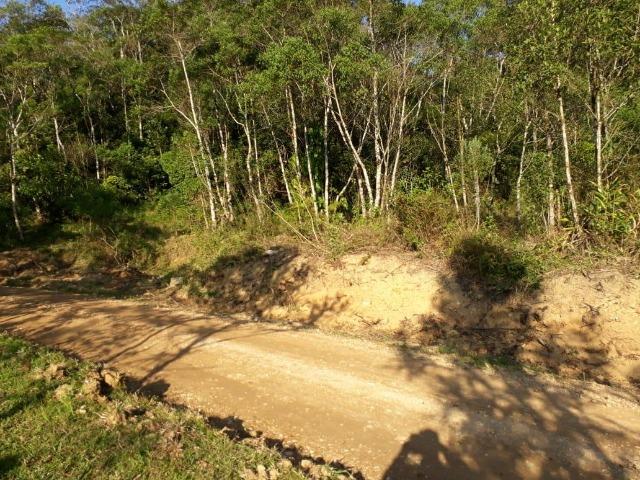Chácara em São José dos pinhais bairro Castelhanos - Foto 11