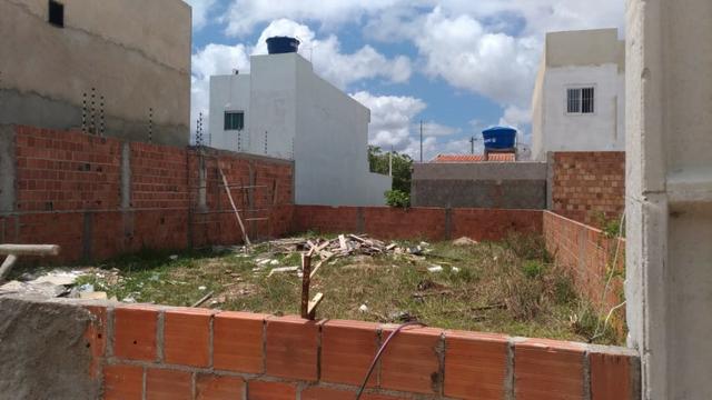 Terreno na Praia dos carneiros - Foto 2