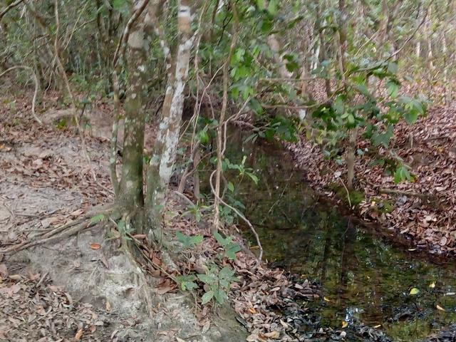 Vende-se uma chácara em Poconé, 50 hectares - Foto 14
