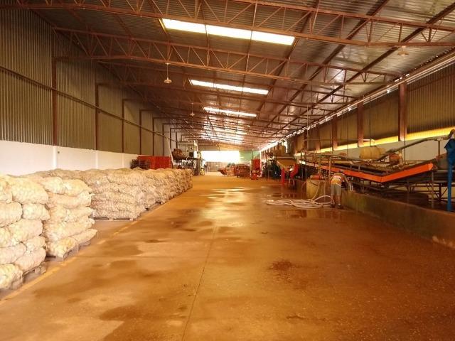 Vendo terreno com galpão na Mario Covas - Foto 6