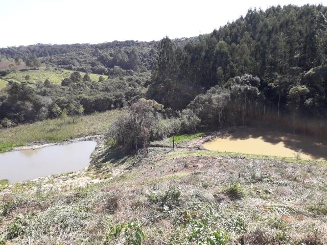 Chácara com 46.792m2 em Bocaiuva do Sul - Estudo Troca em Colombo - Foto 15