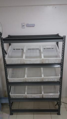 VENDO FRUTEIRA NOVA SLIM C/9 CAIXAS 2,00x1,20x0,60 - Foto 3
