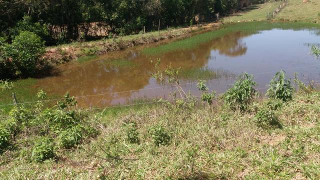 91C/Bela fazendinha de 13 ha em ótimo local e com tudo que a gente quer - Foto 17