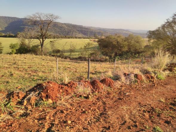 8271 | Fazenda à venda em ZONA RURAL, Cascavel - Foto 8