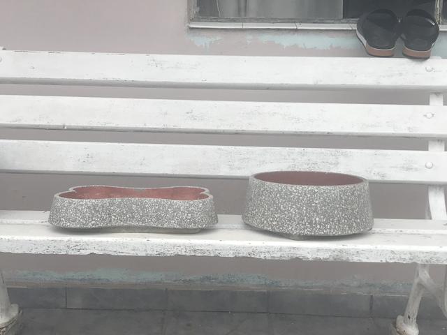 Pote de água e comida para cachorro