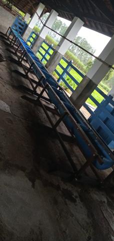 Cochos para tratar de gado nunca usado