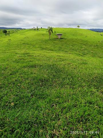 Fazenda - Foto 5