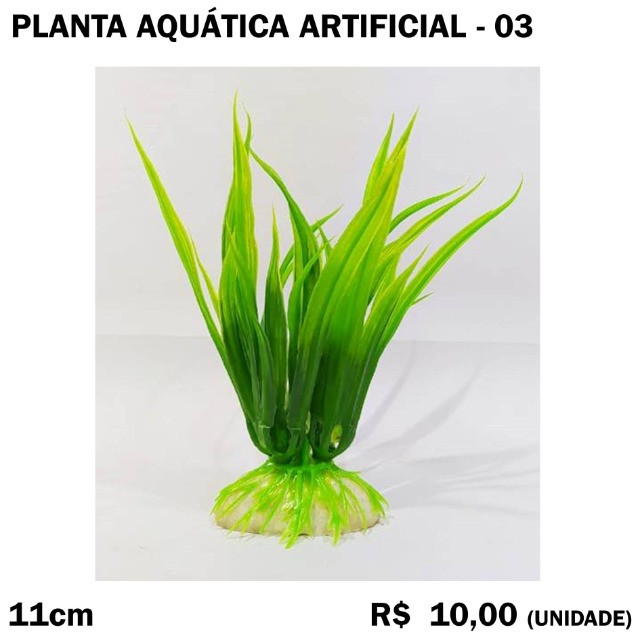 Planta Aquática para Aquário