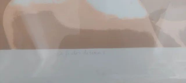 otavio pereira  - Foto 3