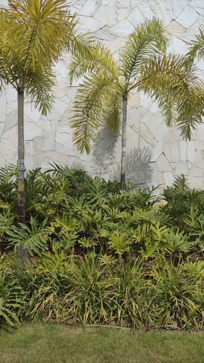 Portal das Pedras  - Foto 5