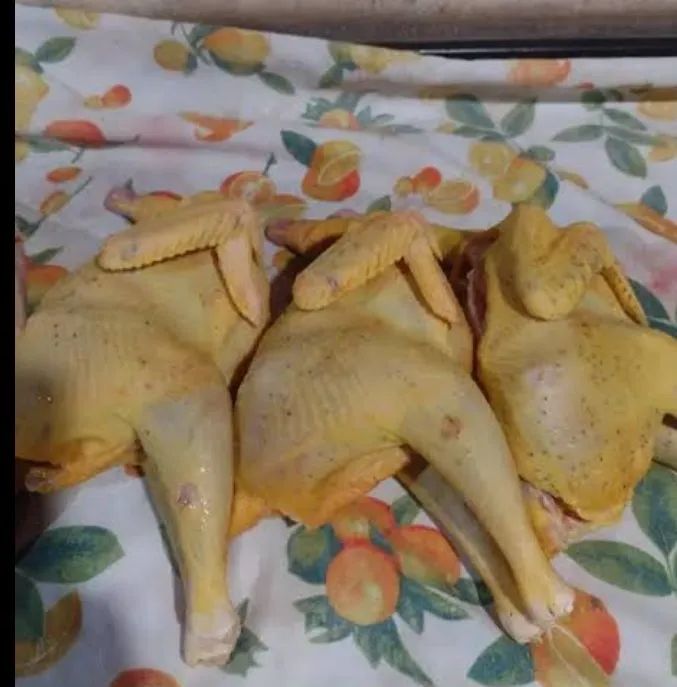 Frango e galinha caipira