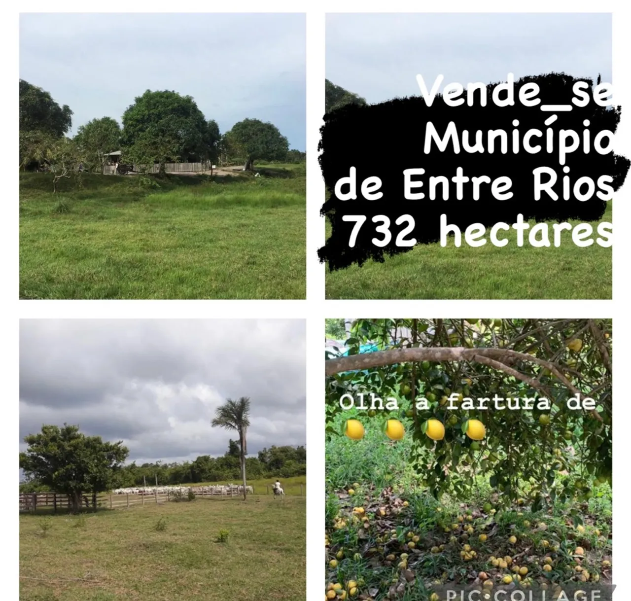 Fazenda no Município de Caroebe (Entre Rios )