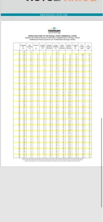 Frangas galinhas Novogen tinted - Foto 2