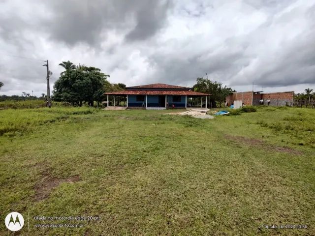 Fazenda em Matoes do Norte do Maranhão