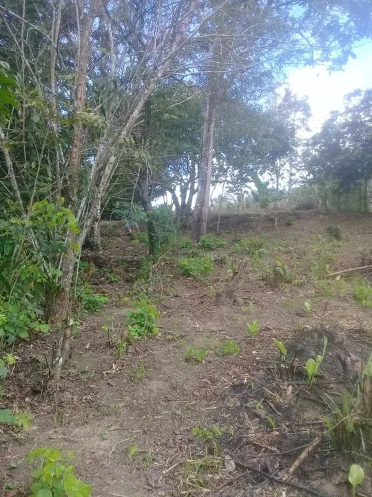 Vendo terreno  em taquipe  - Foto 3