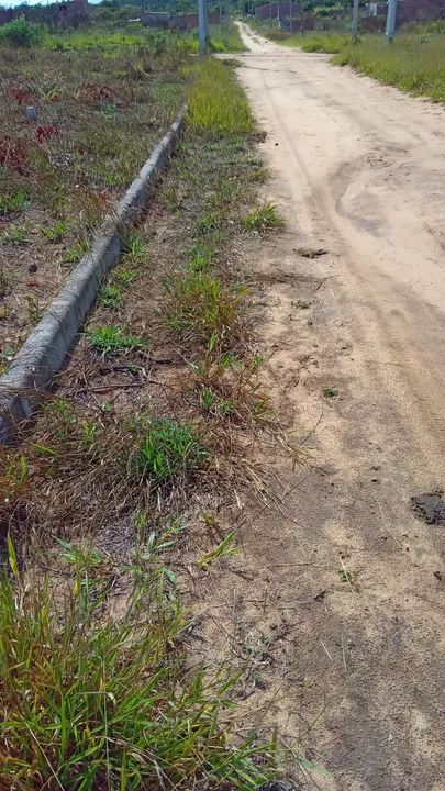 Terreno  a venda em garanhuns Pernambuco  - Foto 5
