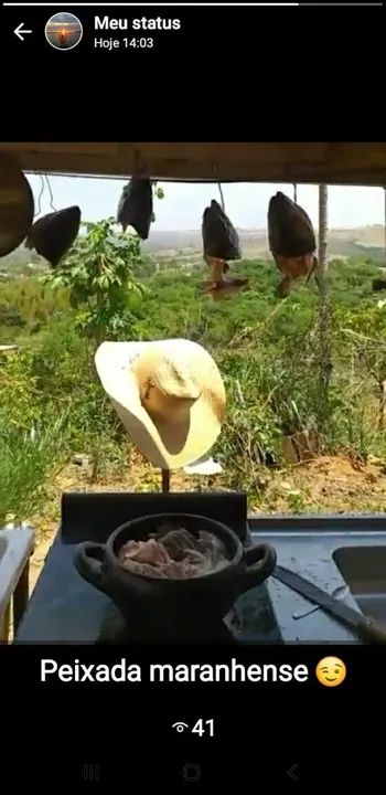 Vendo uma pequena roça de milho  - Foto 3