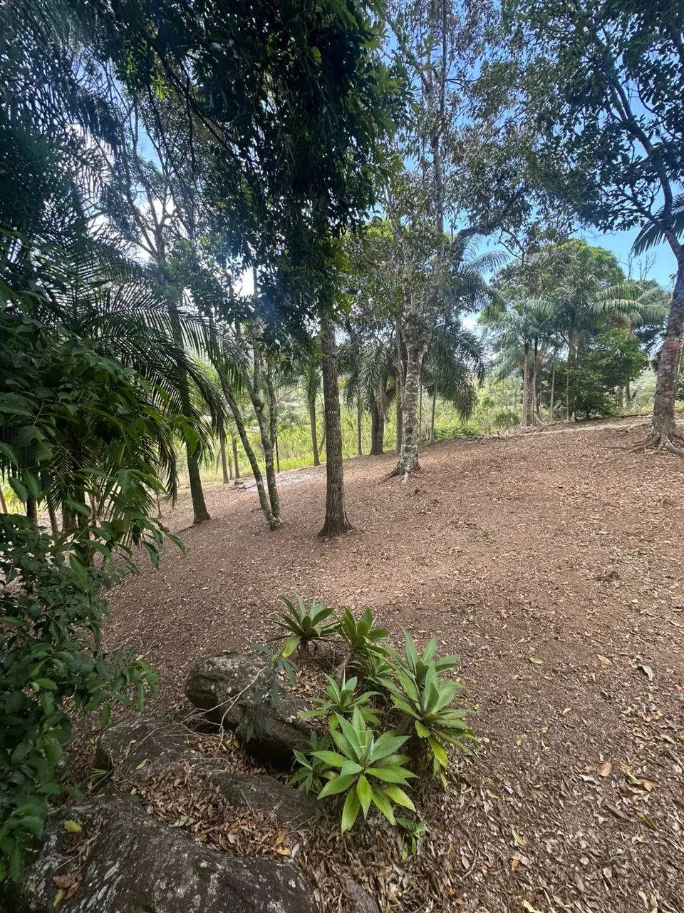 Foto - Águas Mornas - Fazenda do Sacramento