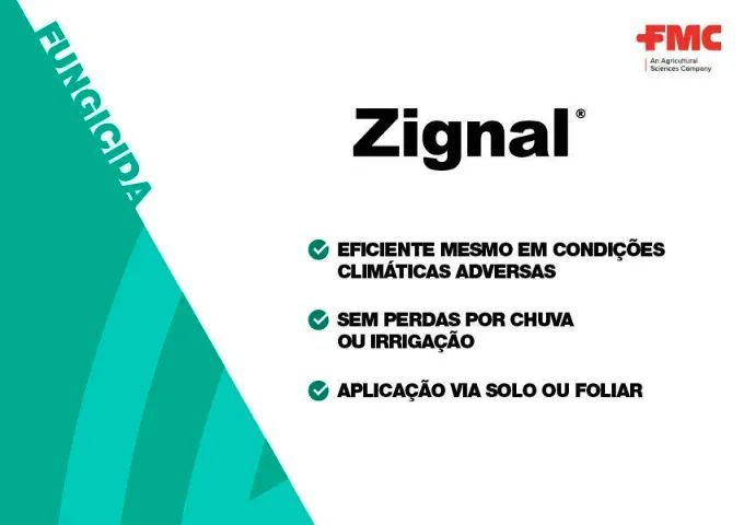 Zignal Fluazinam FMC Mofo Branco/ Sclerotinia - Foto 3