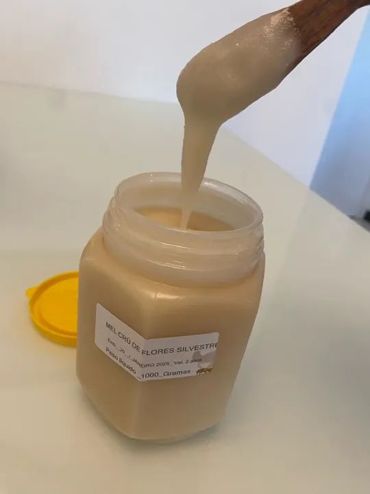 Mel de abelha Cru Cremoso 100% puro - Foto 3