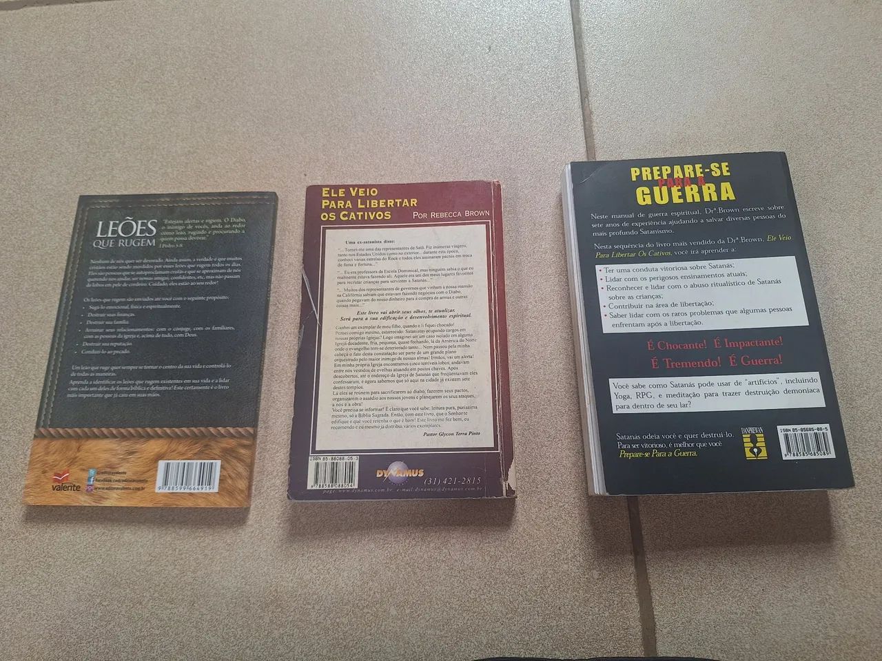 Livros da Rebecca Brown - Foto 3
