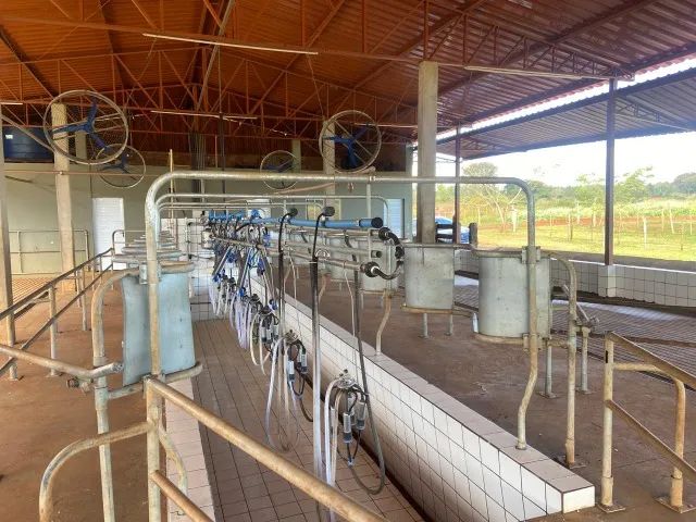 Sistema de Ordenha Automatizado com Aquecimento Solar e Estrutura Metálica(usada em otimo) - Foto 2