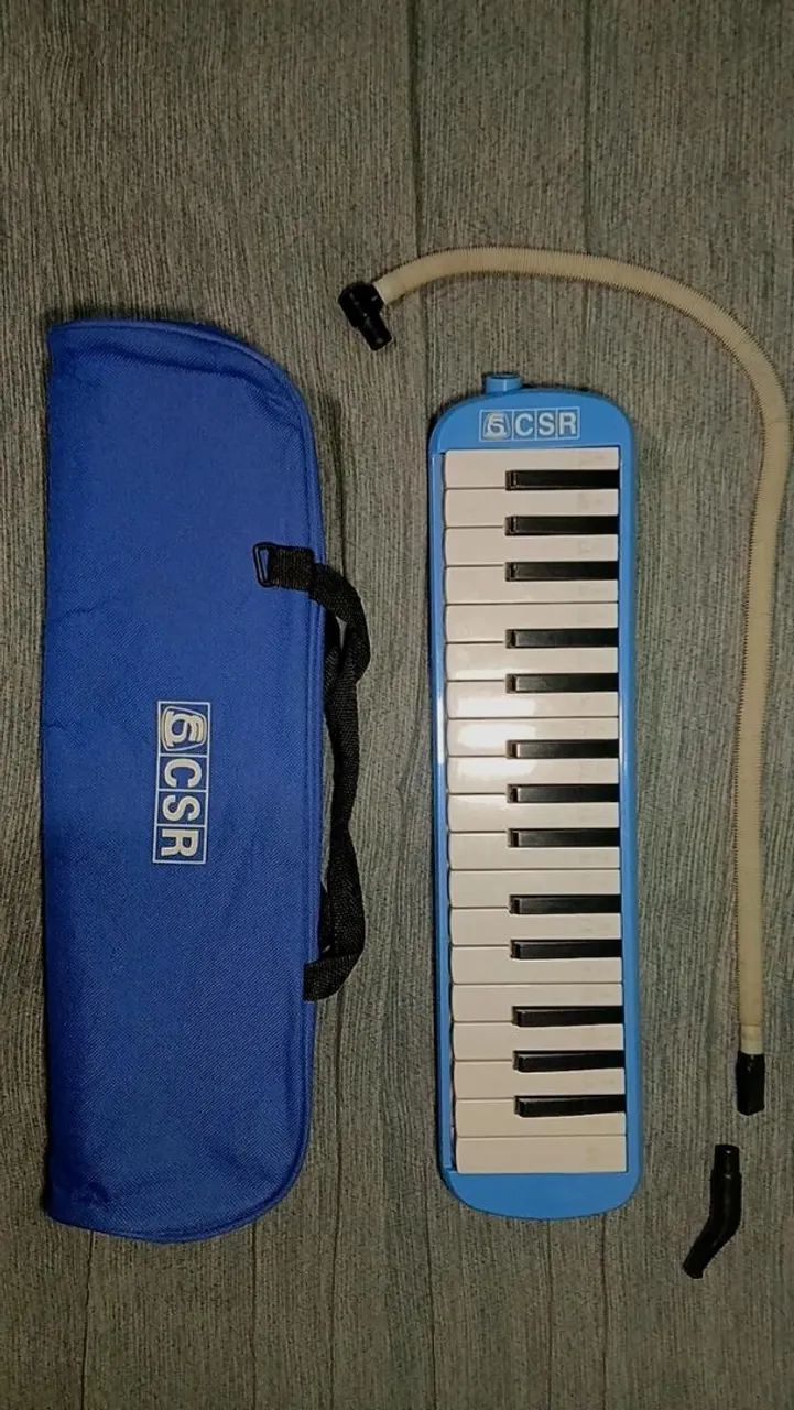 Vendo Escaleta-CSR64840797856641120