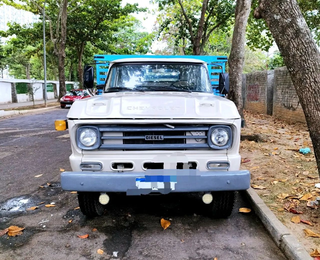 CAMINHÃO CHEVROLET D60 MECÂNICA TODA MERCEDES 1113 PRONTO PARA TRABALHAR - Foto 3