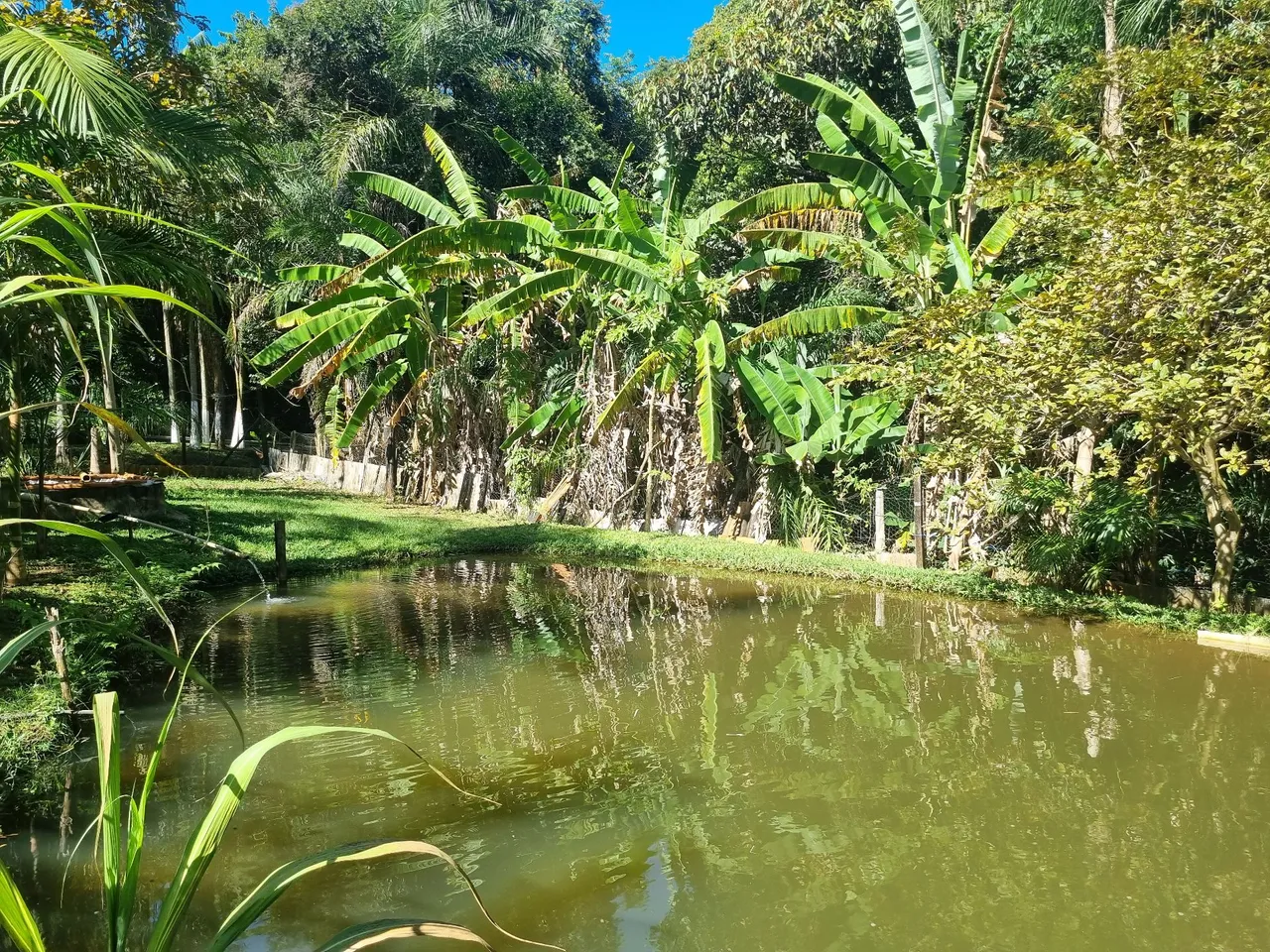 Chácara à Venda