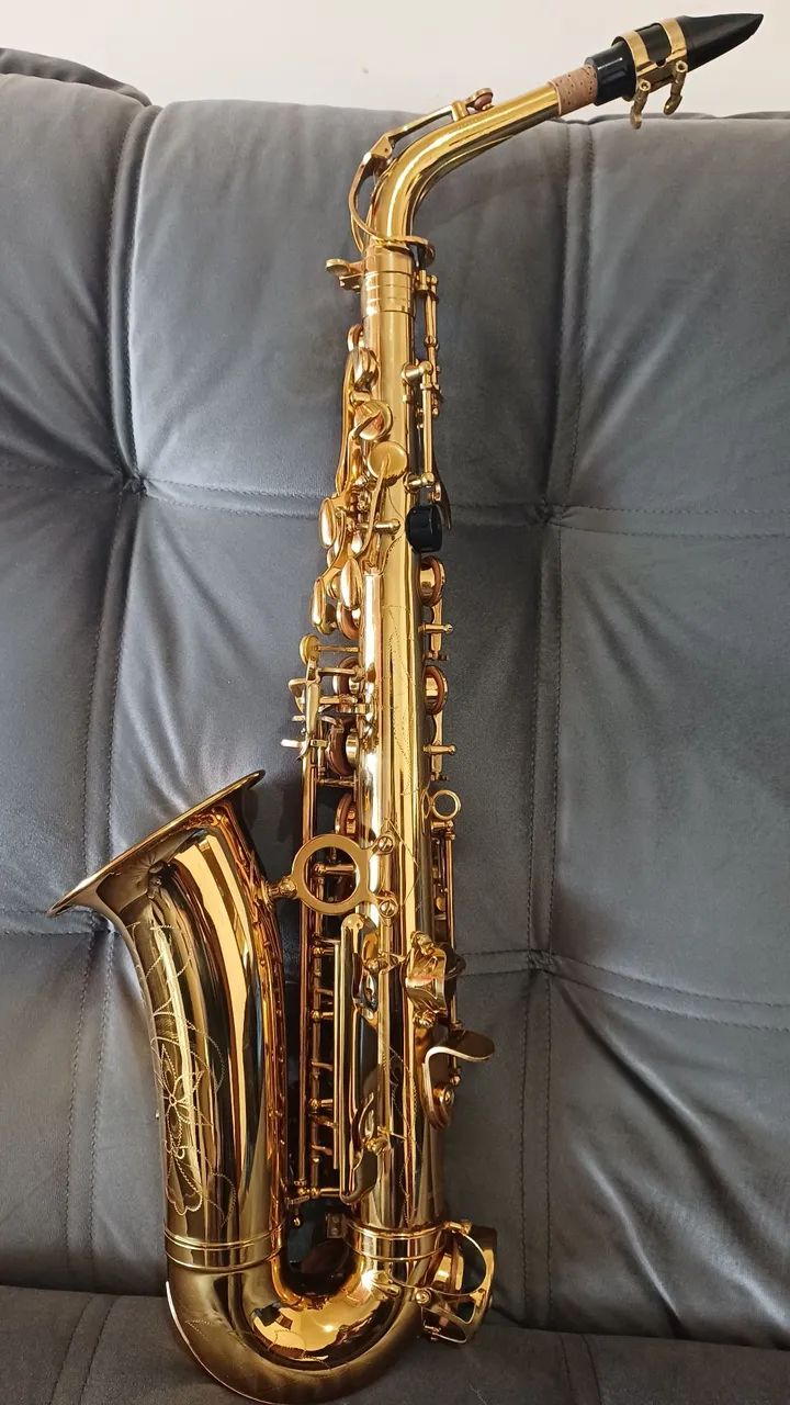 Sax Alto Muito Novo, Afinado e regulado