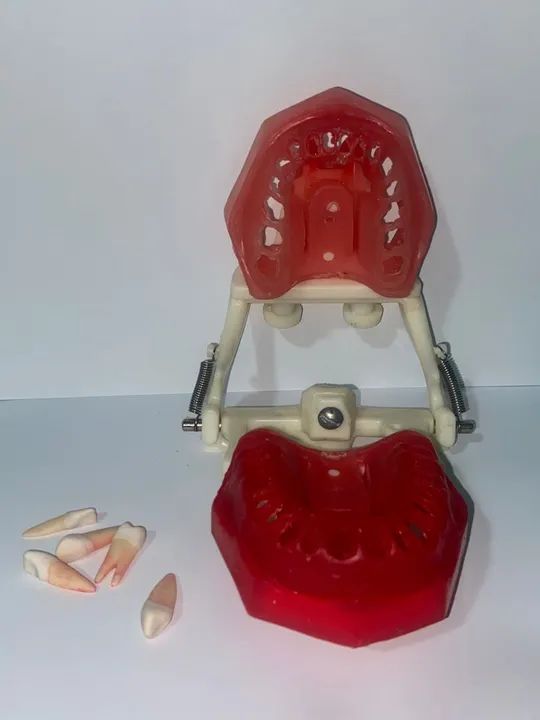 MANEQUIM ENDO PRONEW