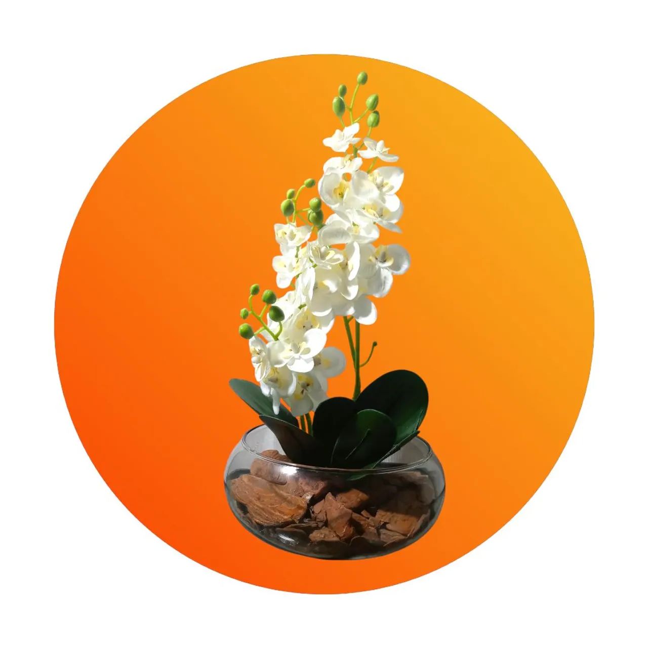 Desfrute de Uma Casa Bonita Com Essas Orquídeas Brancas Permanentes em Um Lindo Decorativo