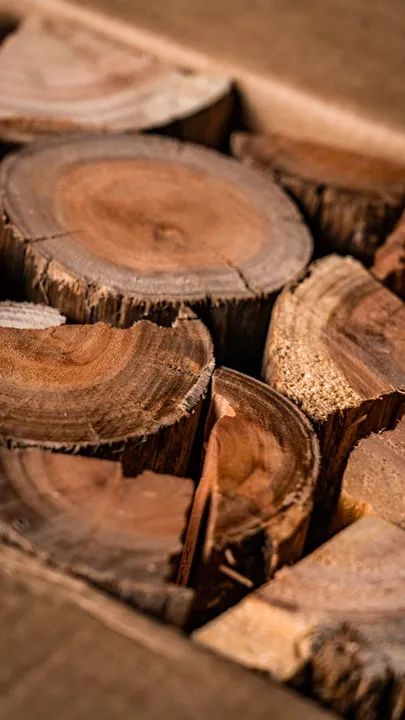 Lenha Box Eucalipto Premium - Foto 2