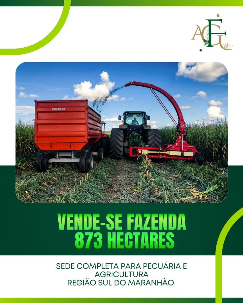 Fazenda com 873 hectares 