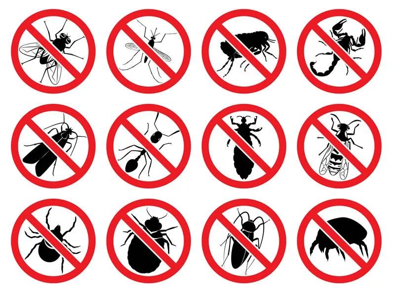 Controle de pragas em geral 