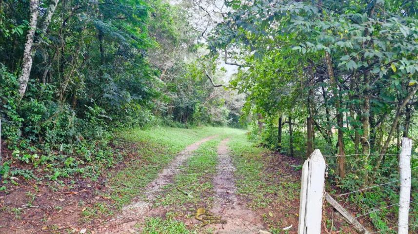 Sítio de 28.000M² em Sítio Novo - Mateus Leme - MG - Foto 12