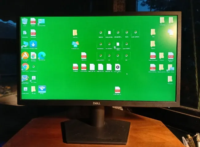 MONITOR DELL 21"