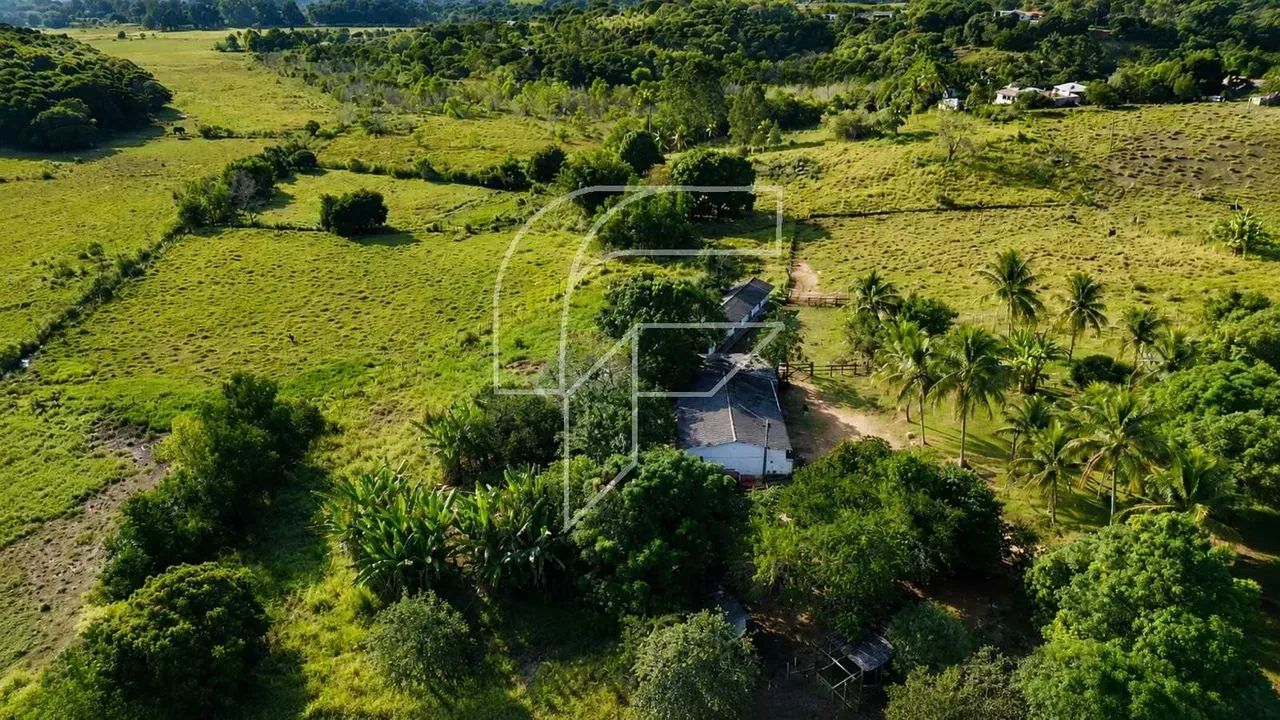 Imóvel para venda com 65000 metros quadrados com 4 quartos - Foto 4