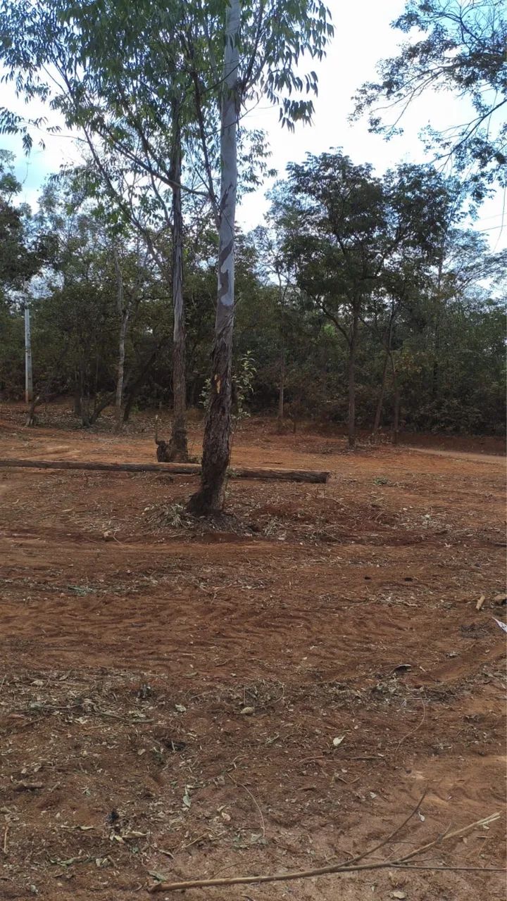 TERRENO SAÍDA LAGOA SANTA  - Foto 4