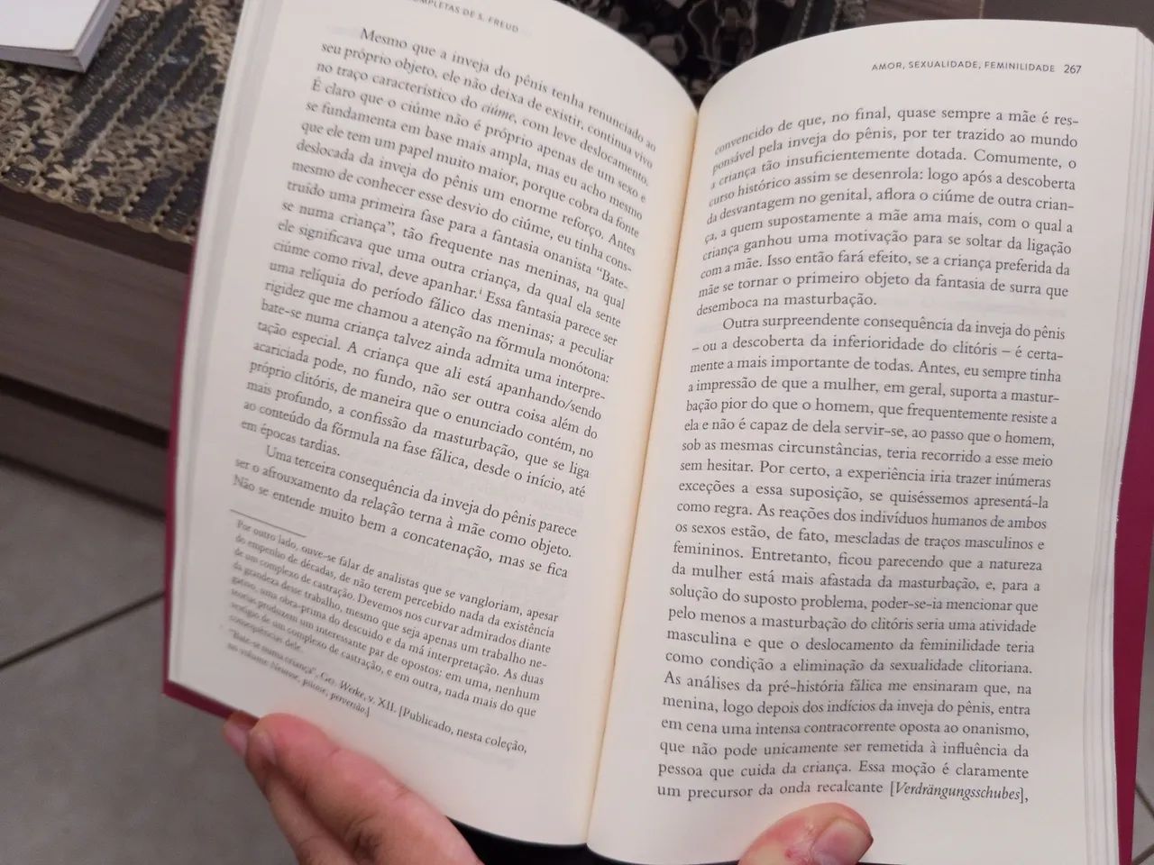 Sigmund Freud - Amor, sexualidade e Feminilidade - Foto 3