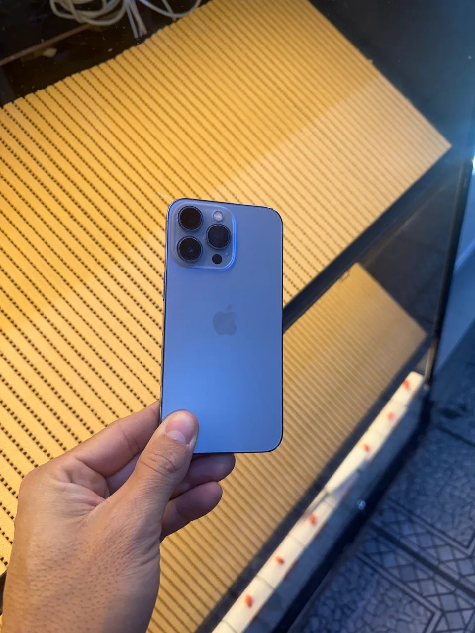 iPhone 13 Pro 1 ano de garantia 